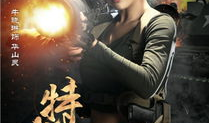 特战王妃电视剧,烽火柔情，战地玫瑰传奇