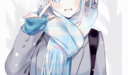 喜欢动漫的女生好追吗,心动指数揭秘，追求攻略全解析